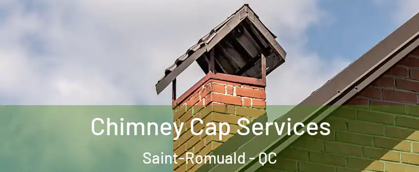 Chimney Cap Services Saint-Romuald - QC