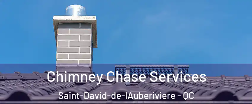 Chimney Chase Services Saint-David-de-lAuberiviere - QC