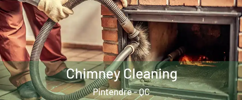 Chimney Cleaning Pintendre - QC