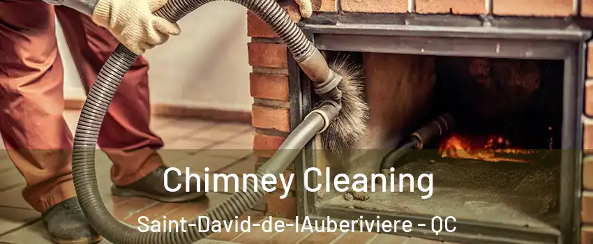 Chimney Cleaning Saint-David-de-lAuberiviere - QC