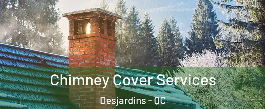  Chimney Cover Services Desjardins - QC