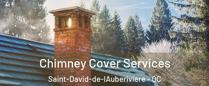 Chimney Cover Services Saint-David-de-lAuberiviere - QC