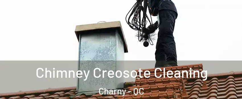 Chimney Creosote Cleaning Charny - QC