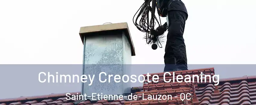 Chimney Creosote Cleaning Saint-Etienne-de-Lauzon - QC