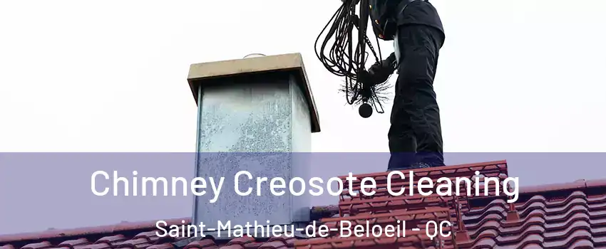Chimney Creosote Cleaning Saint-Mathieu-de-Beloeil - QC