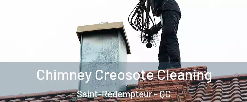  Chimney Creosote Cleaning Saint-Redempteur - QC