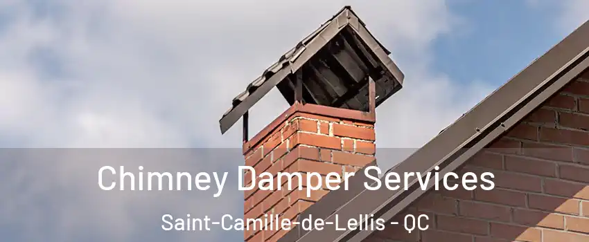 Chimney Damper Services Saint-Camille-de-Lellis - QC