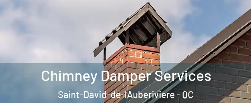  Chimney Damper Services Saint-David-de-lAuberiviere - QC
