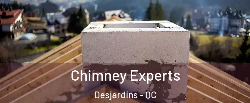  Chimney Experts Desjardins - QC