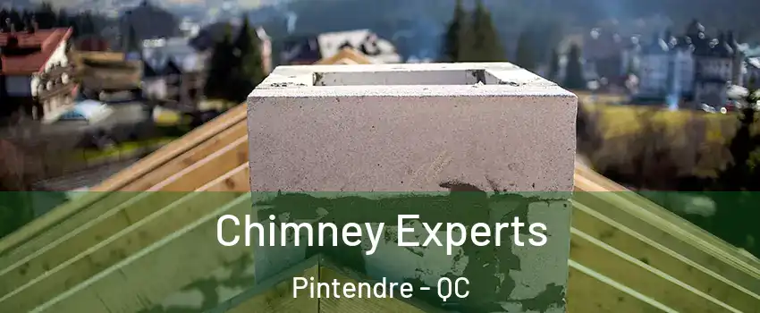 Chimney Experts Pintendre - QC