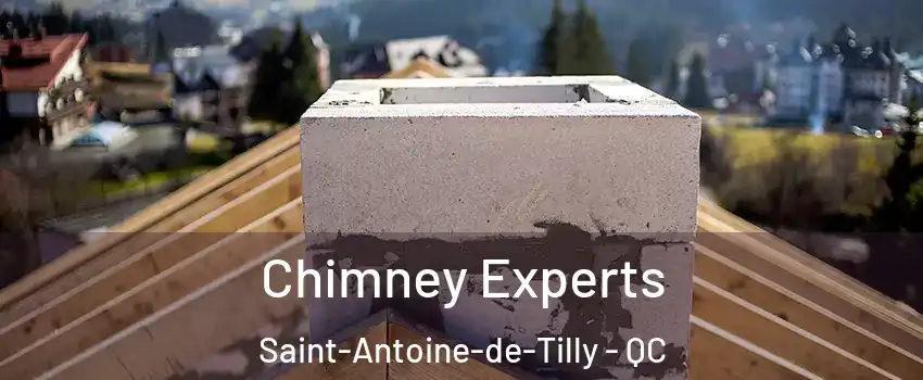 Chimney Experts Saint-Antoine-de-Tilly - QC
