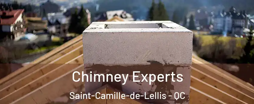 Chimney Experts Saint-Camille-de-Lellis - QC