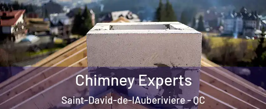 Chimney Experts Saint-David-de-lAuberiviere - QC