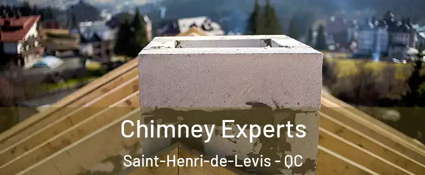  Chimney Experts Saint-Henri-de-Levis - QC