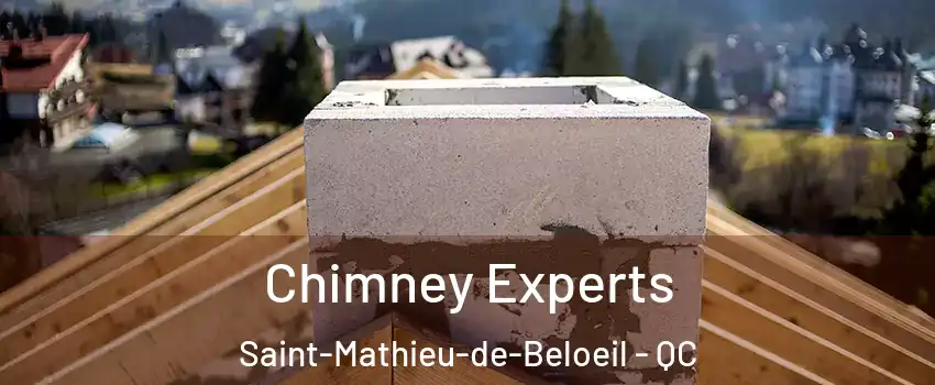 Chimney Experts Saint-Mathieu-de-Beloeil - QC