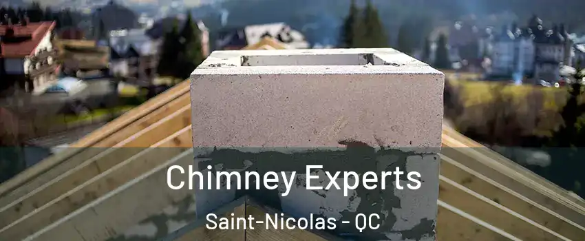 Chimney Experts Saint-Nicolas - QC