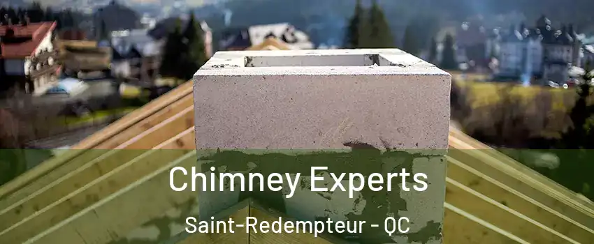 Chimney Experts Saint-Redempteur - QC