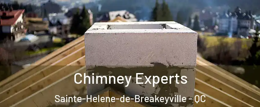  Chimney Experts Sainte-Helene-de-Breakeyville - QC