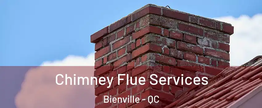 Chimney Flue Services Bienville - QC