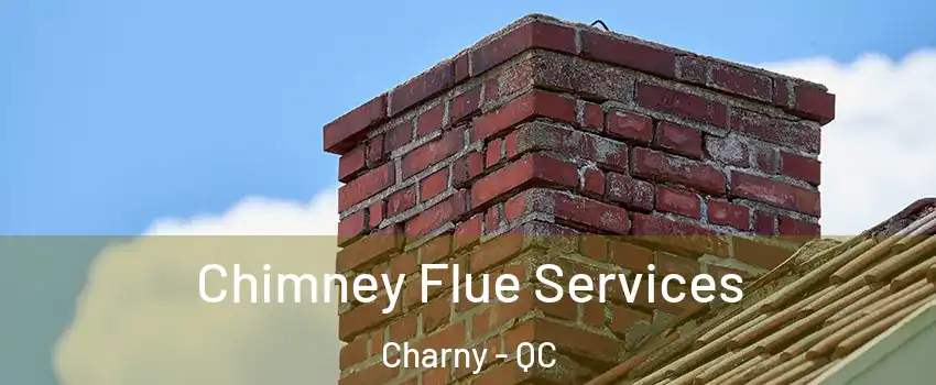 Chimney Flue Services Charny - QC