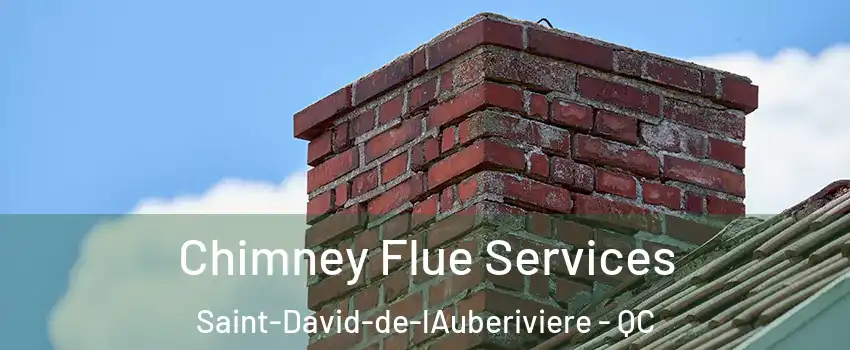  Chimney Flue Services Saint-David-de-lAuberiviere - QC
