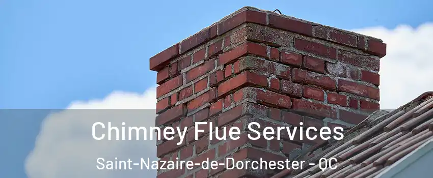 Chimney Flue Services Saint-Nazaire-de-Dorchester - QC