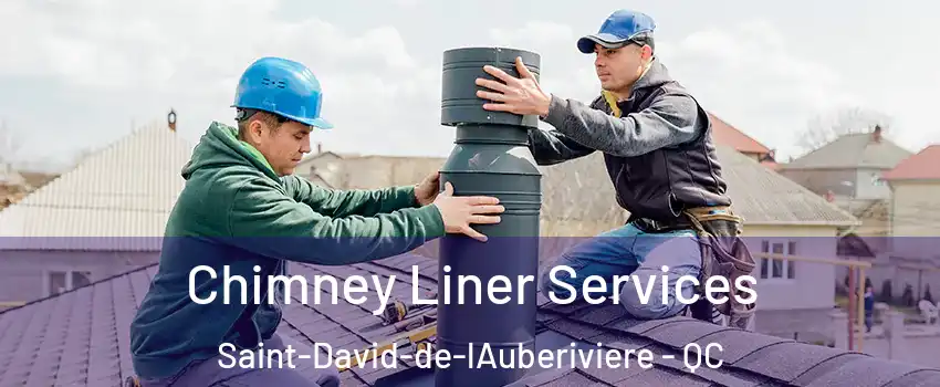 Chimney Liner Services Saint-David-de-lAuberiviere - QC