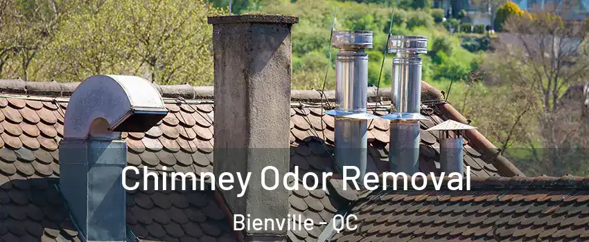 Chimney Odor Removal Bienville - QC