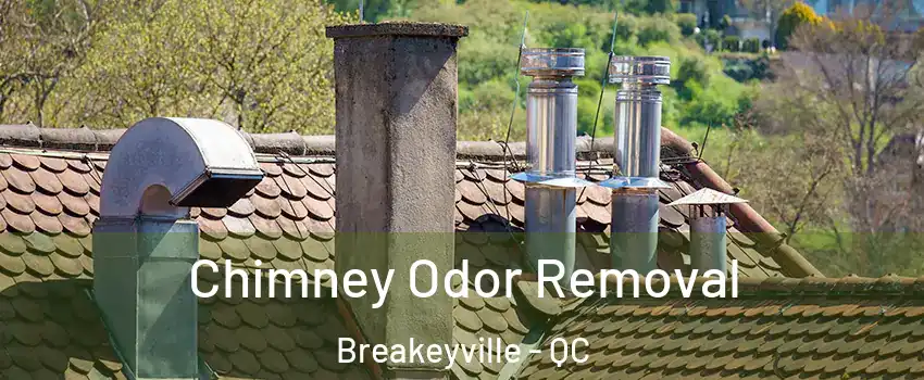  Chimney Odor Removal Breakeyville - QC