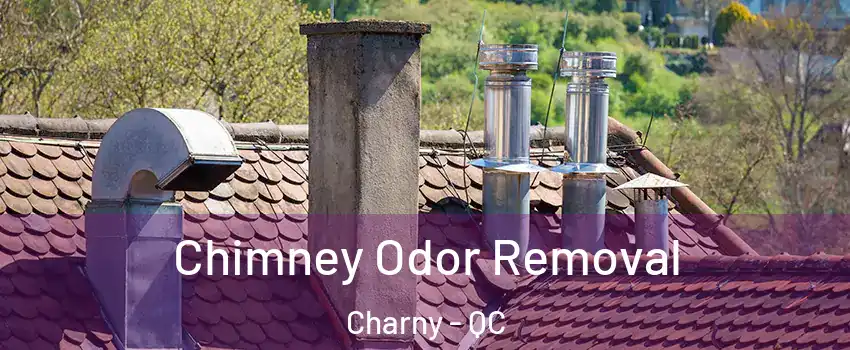 Chimney Odor Removal Charny - QC