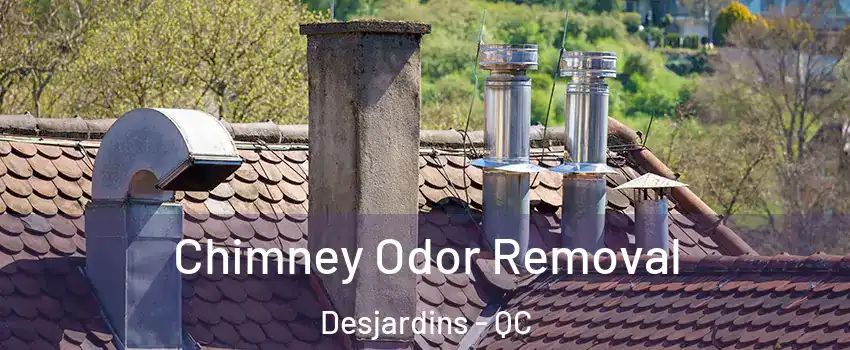 Chimney Odor Removal Desjardins - QC