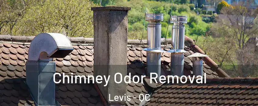 Chimney Odor Removal Levis - QC