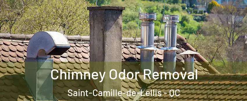 Chimney Odor Removal Saint-Camille-de-Lellis - QC