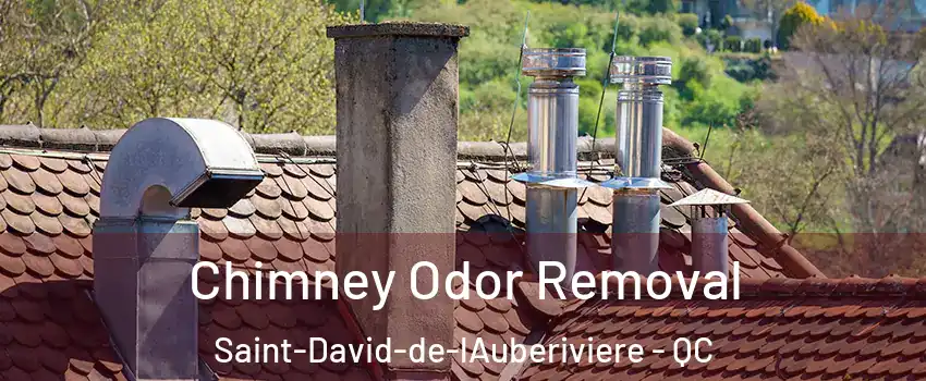 Chimney Odor Removal Saint-David-de-lAuberiviere - QC