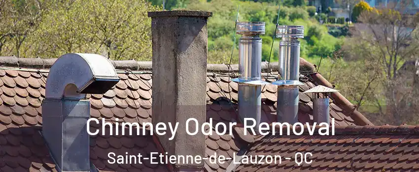 Chimney Odor Removal Saint-Etienne-de-Lauzon - QC