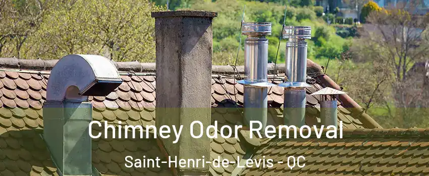  Chimney Odor Removal Saint-Henri-de-Levis - QC