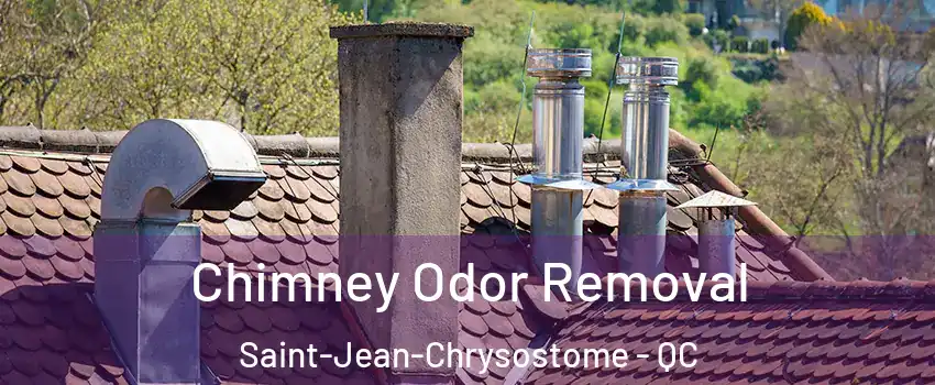 Chimney Odor Removal Saint-Jean-Chrysostome - QC