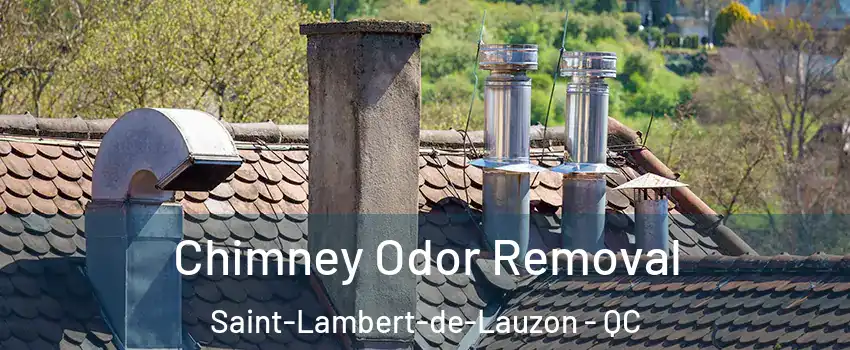 Chimney Odor Removal Saint-Lambert-de-Lauzon - QC