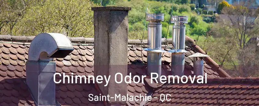  Chimney Odor Removal Saint-Malachie - QC
