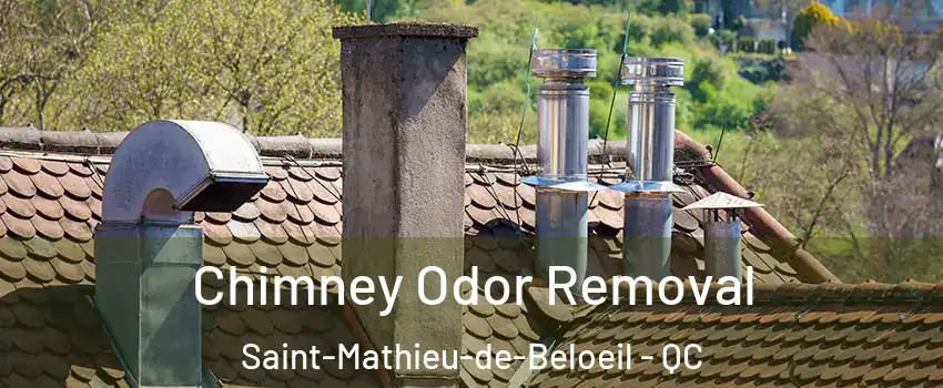 Chimney Odor Removal Saint-Mathieu-de-Beloeil - QC