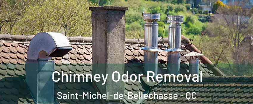  Chimney Odor Removal Saint-Michel-de-Bellechasse - QC