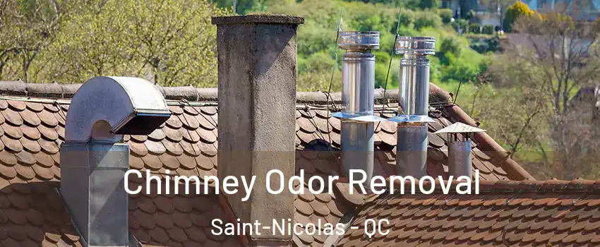 Chimney Odor Removal Saint-Nicolas - QC