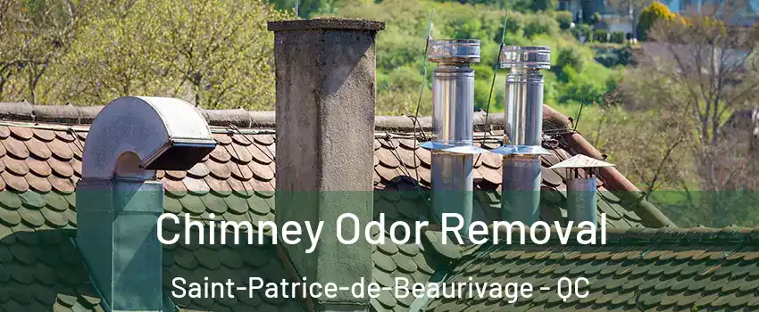 Chimney Odor Removal Saint-Patrice-de-Beaurivage - QC