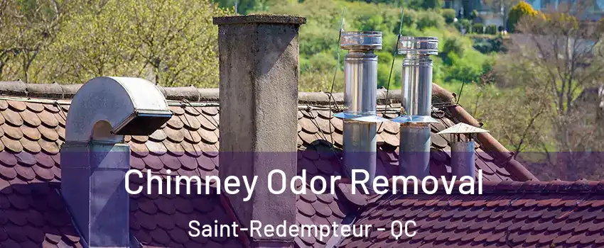  Chimney Odor Removal Saint-Redempteur - QC