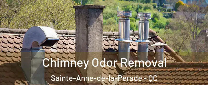Chimney Odor Removal Sainte-Anne-de-la-Perade - QC