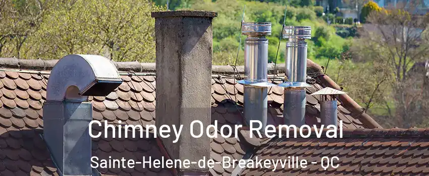Chimney Odor Removal Sainte-Helene-de-Breakeyville - QC