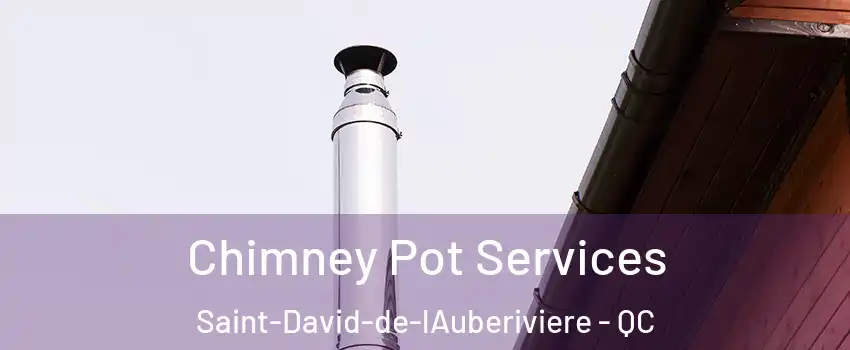 Chimney Pot Services Saint-David-de-lAuberiviere - QC