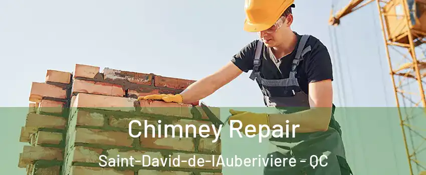  Chimney Repair Saint-David-de-lAuberiviere - QC