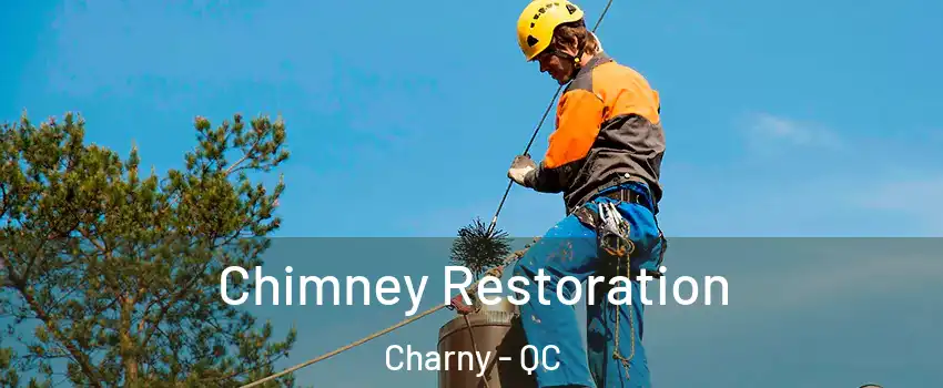 Chimney Restoration Charny - QC