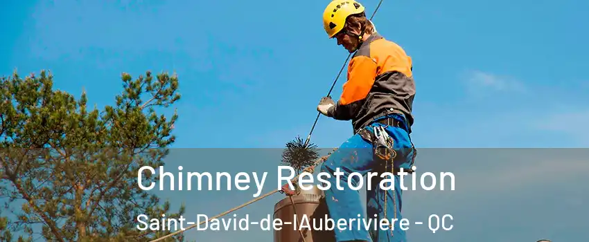 Chimney Restoration Saint-David-de-lAuberiviere - QC
